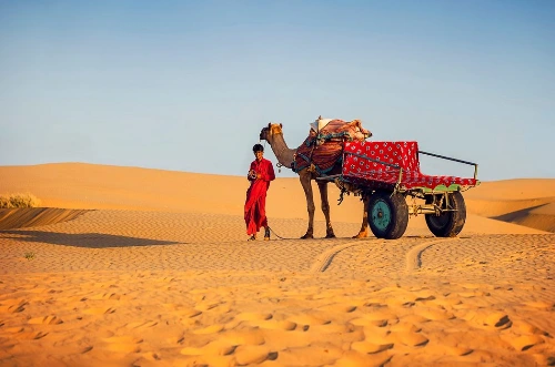 Complete Rajasthan 10 Days