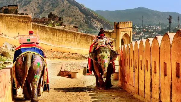 Rajasthan Family Tour Packages
