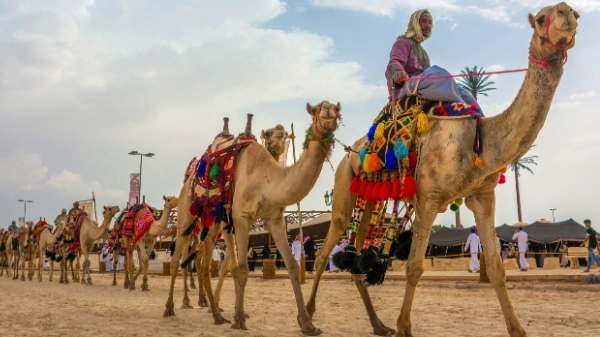 Rajasthan Group Tour Packages